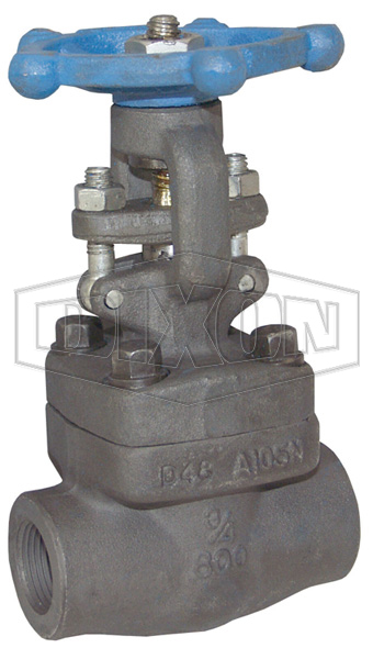 Class 800 Forged Steel Gate Valve